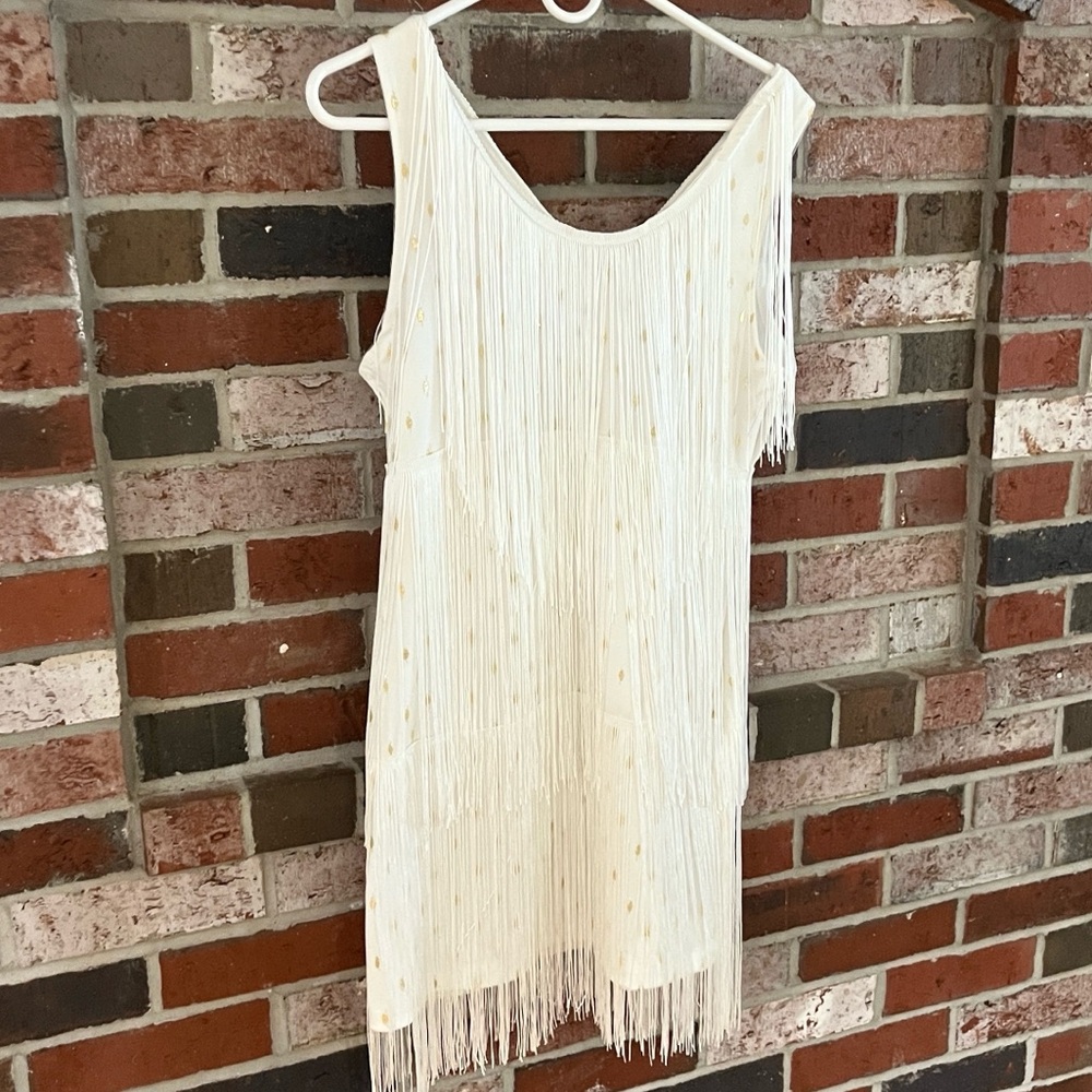 Spirit Silver Fringe V-Neck Mini Dress - Picture 9 of 10